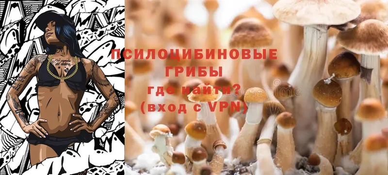 MEGA ссылка  Беслан  Псилоцибиновые грибы Psilocybine cubensis 